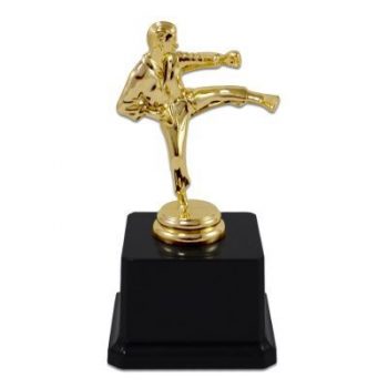 Karate Figürlü Ödül Kupası 77 (10 Adet + BASKI)